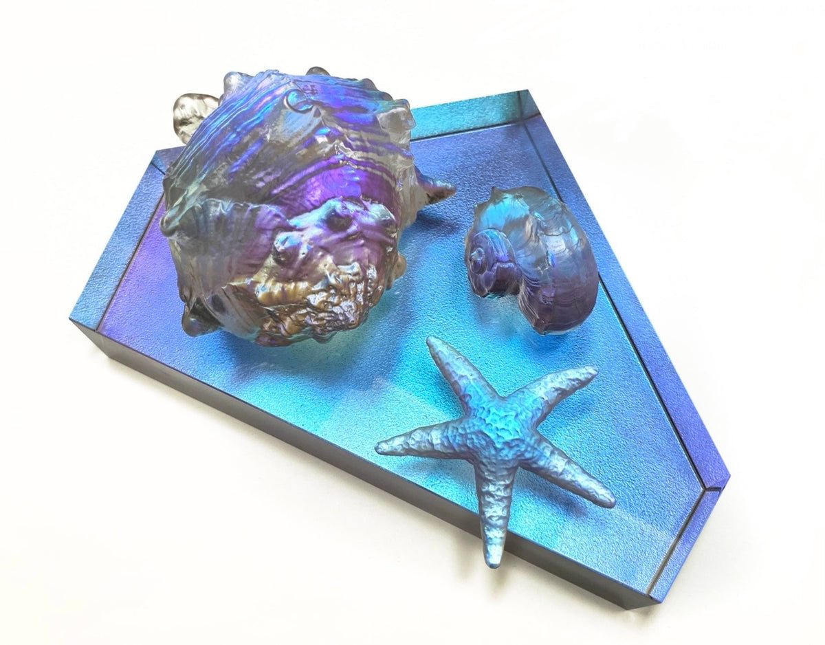 Vanitas - Cast Crystal Sea Shell Still Life – Vancouver Studio Glass